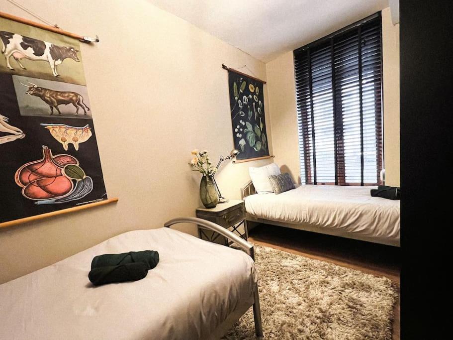 Appartement Cannelle à Verviers Extérieur photo